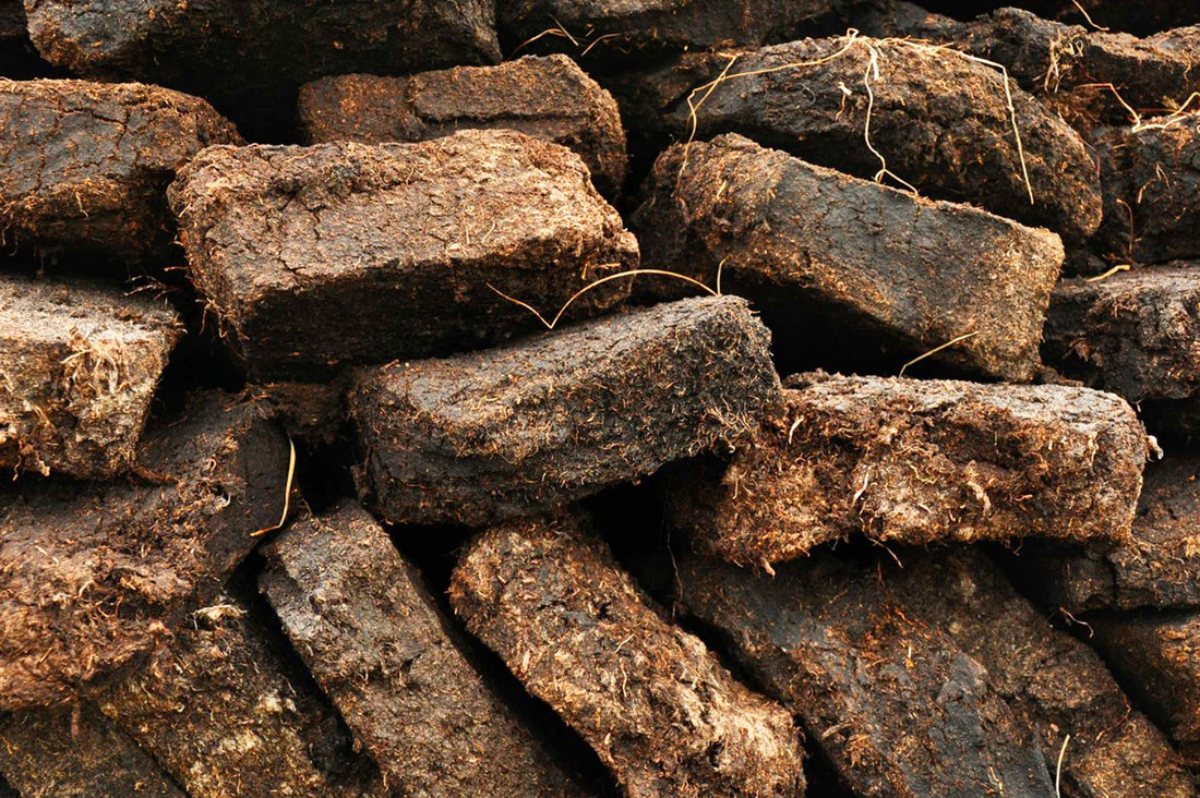 Cask Curriculum: Peat Origins