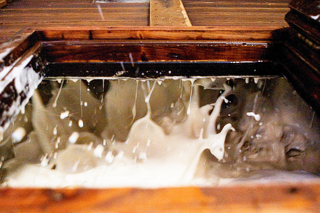Fermenting Flavour – <br/>A dive into fermentation