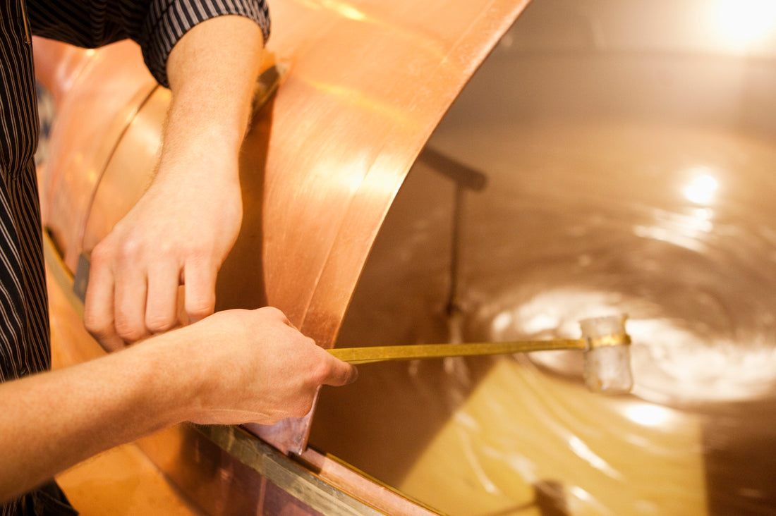 How wort contributes to flavour