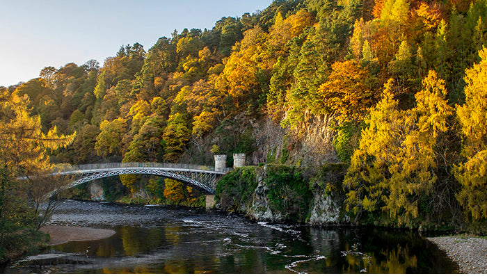 Society Stories: The Heart of Scotland
