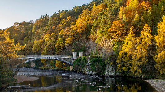 Society Stories: The Heart of Scotland